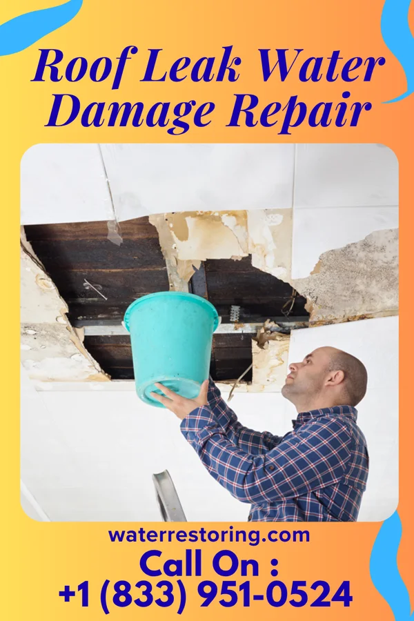 Roof Leak Water Damage Repair in Cass City, MI