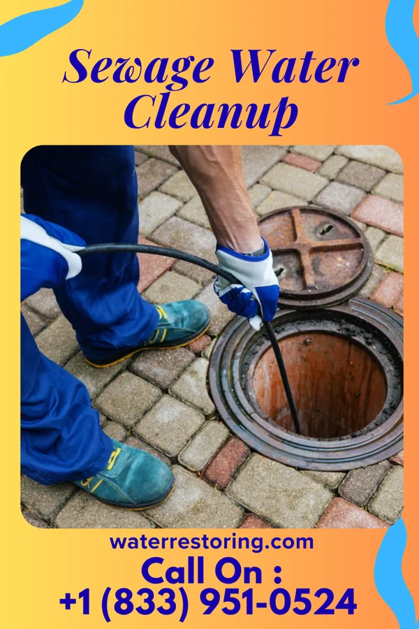 Sewage Water Cleanup in Cass City, MI