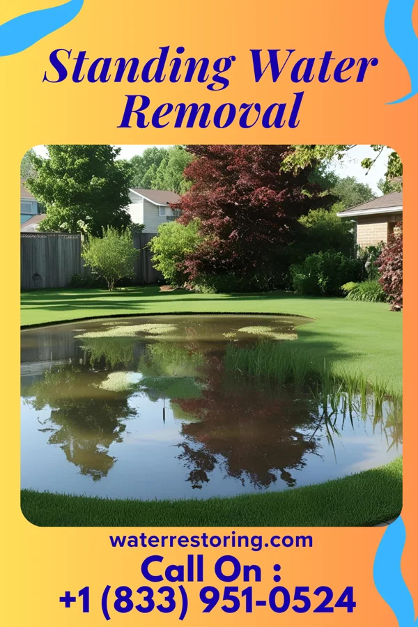 Standing Water Removal in Cass City, MI